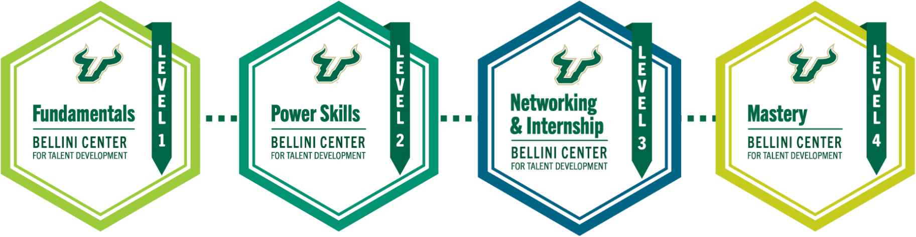 The Bellini Certification Program