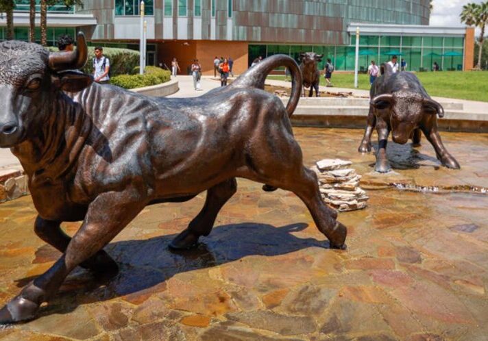 USF Gets $40 Million